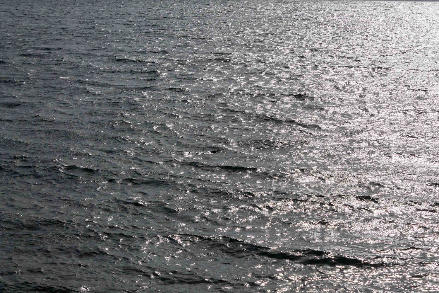sinclair bay kitsap LQ2